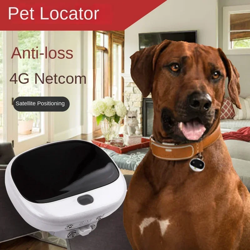 Pet Supplies App - Mini 4G LTE 2G GSM Dog