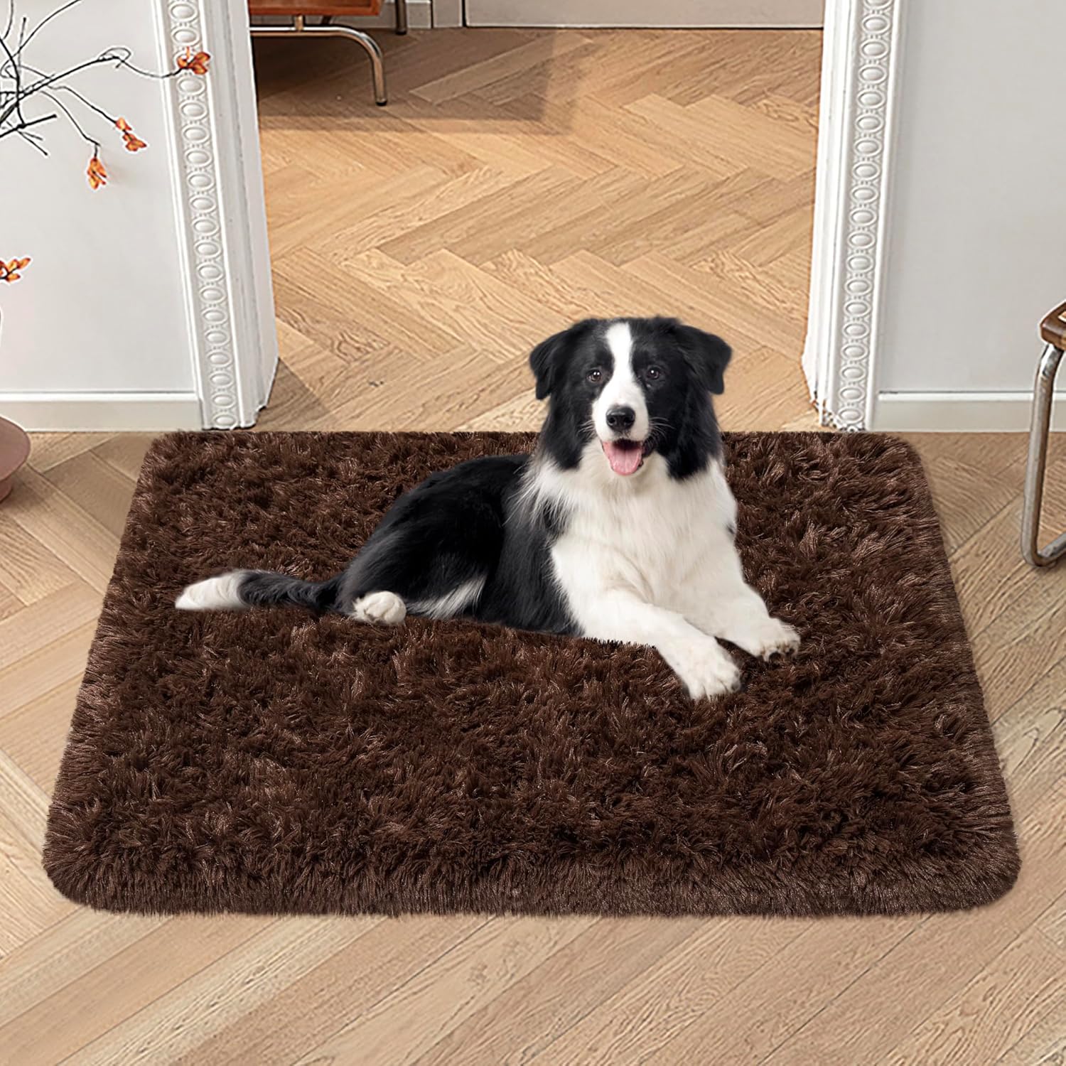 VIKAMA Silk And Wool Carpets A – обзор и цена Pet Supplies Dog Wash