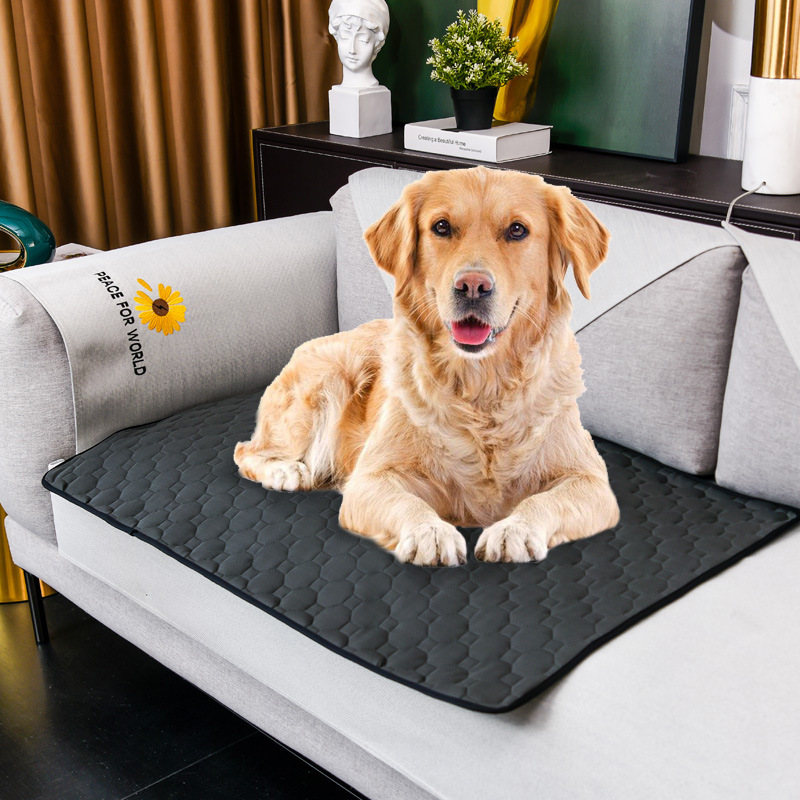 Dog Urine Mat Washable Reusabl – обзор и цена Pet Supplies Dog Wash