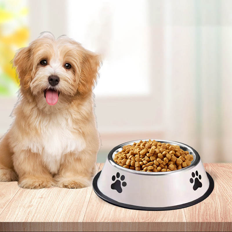 Stainless steel large capacity – обзор и цена Pet Supplies Plus