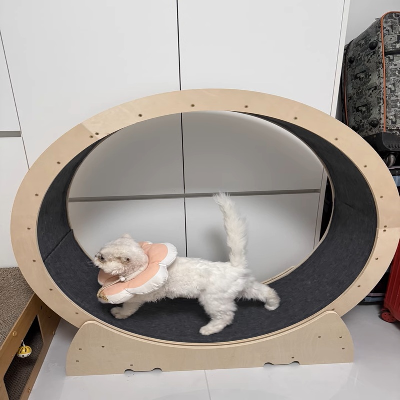 Chongbeiya In Stock Cat Mute T – обзор и цена Cat Tunnel Toy