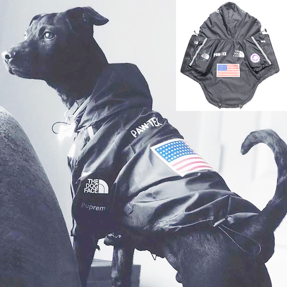 Pet Dog Waterproof Coat Dog Ra – обзор и цена Pet Supplies Plus