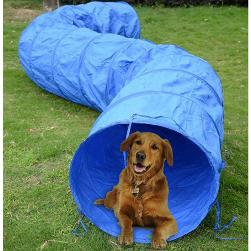 Dog Agility Training Equipment – обзор и цена Cat Tunnel Toy