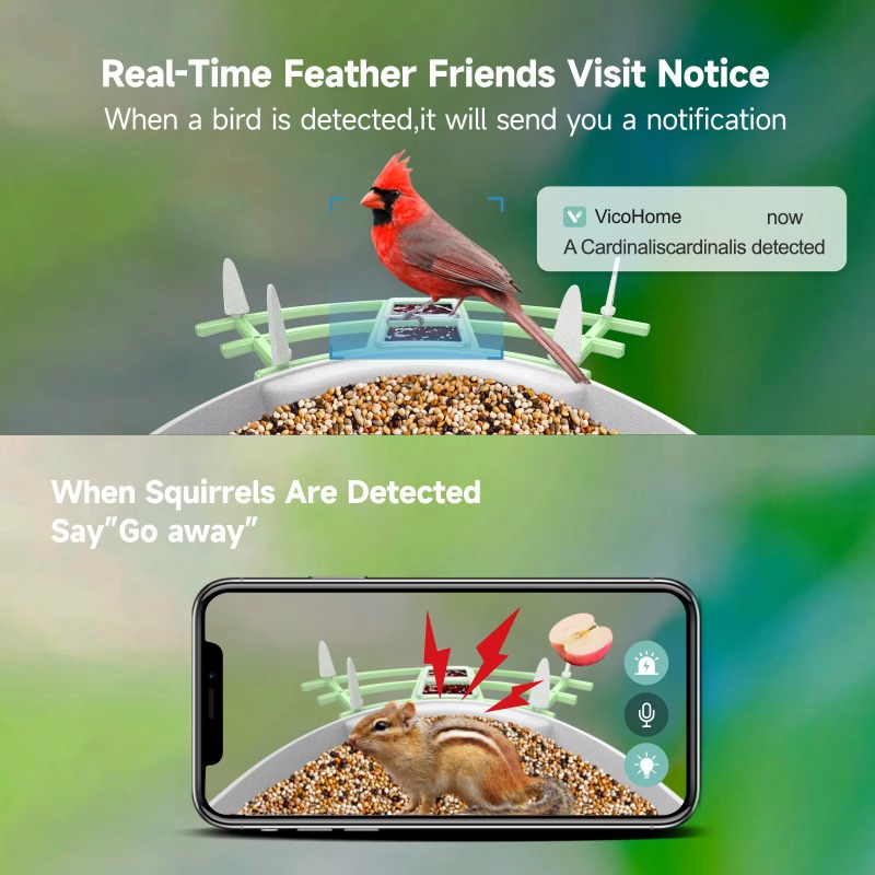 2026 App Video Auto Capture Ca – обзор и цена Pet Supplies App